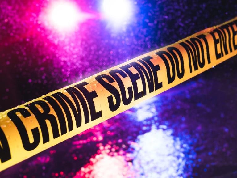 Nine Dead. Hundreds Broken. Streets Bleed While Albany Stalls.