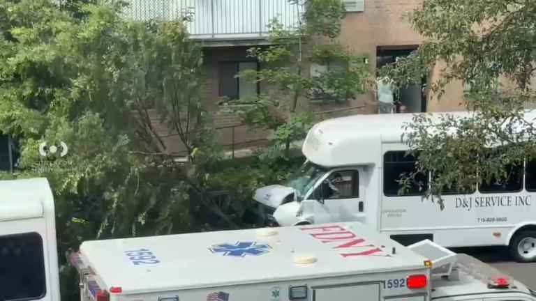 Five Dead, Thousands Hurt—Who Will Stop the Killing on Brooklyn’s Streets?