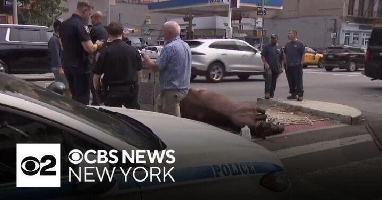 Eight Dead. 1,941 Crashes. AD 69.