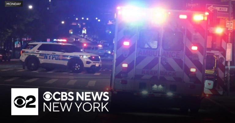 Another Body on Bronx Asphalt—How Many More Before We Act?