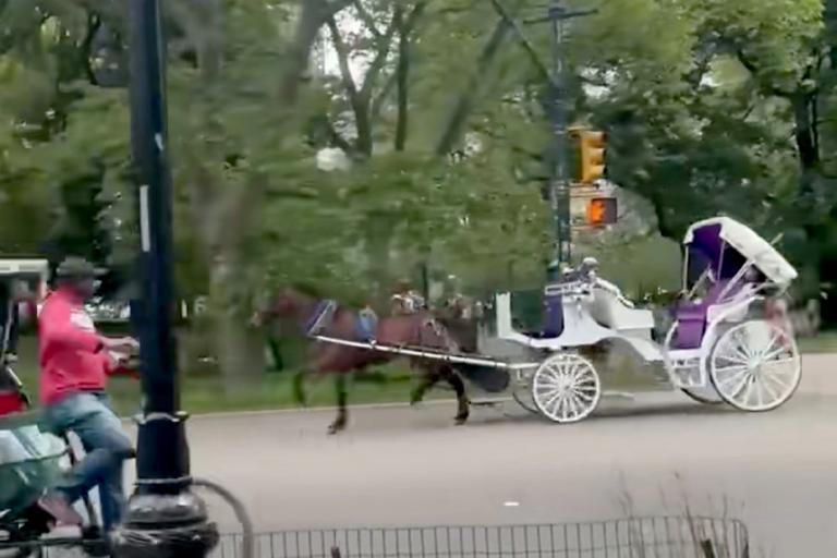 Central Park: Waiting for the Next Crash