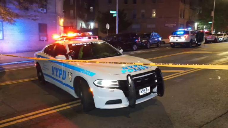 Hit, Run, Forgotten: Bronx Streets Still Kill with Impunity