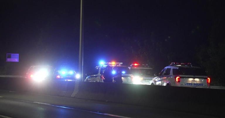 Bronx Blood on Their Hands: Lower the Speed or Count the Dead