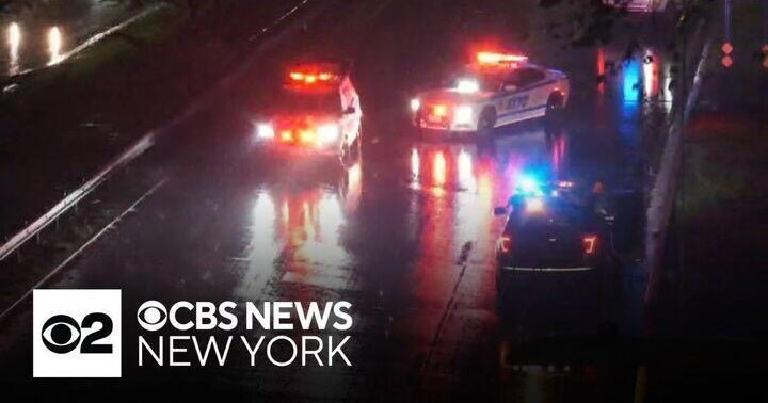 Bedford Park Bleeds—And City Hall Looks Away