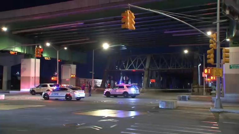 Crosswalk, Midnight, Bronx: One Woman Down, and a Pattern That Doesn’t Stop